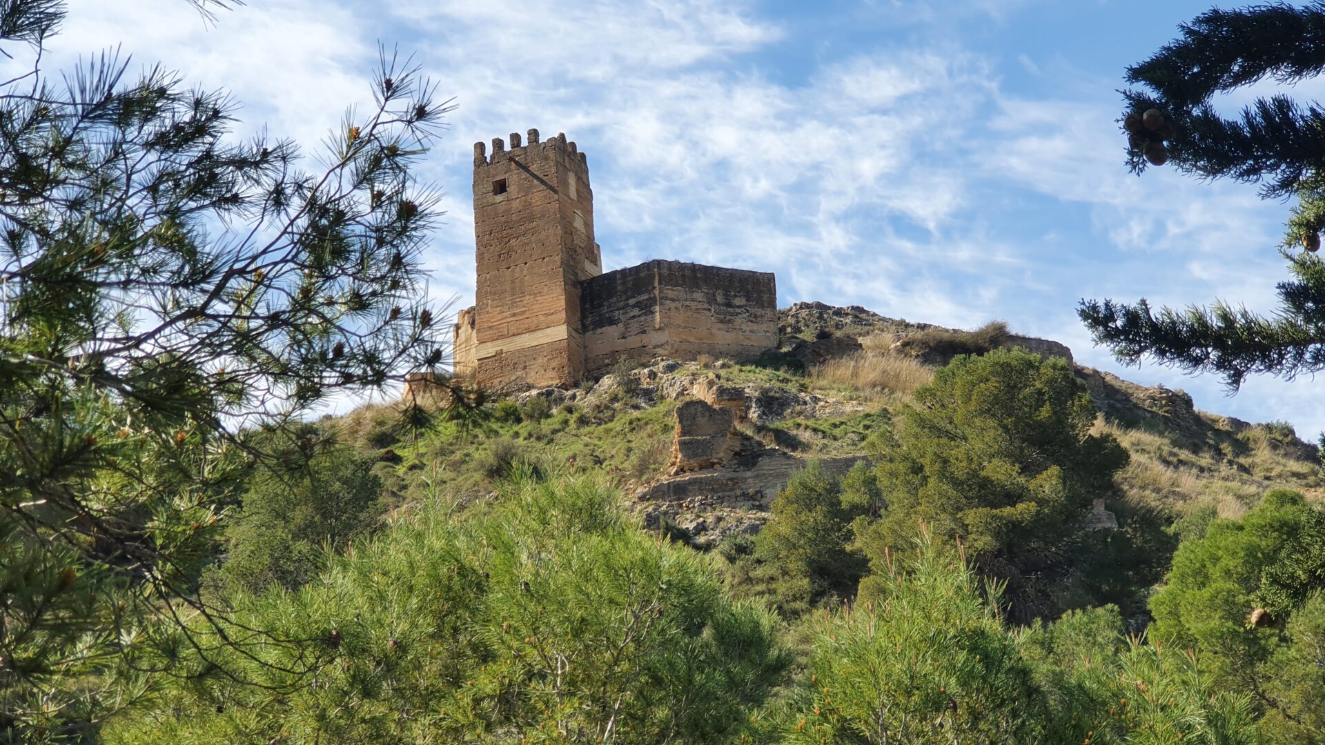Castillo de Pliego